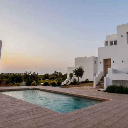 Divine Naxos Βίλα Πλάκα