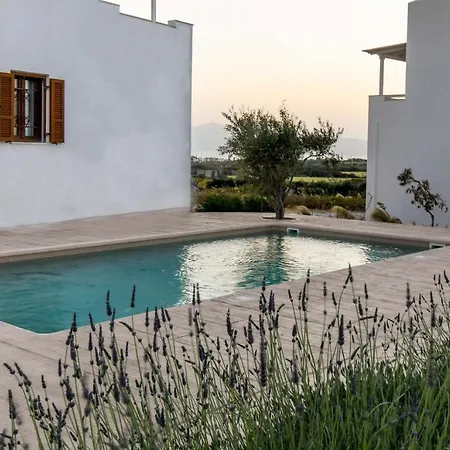 Divine Naxos Βίλα *