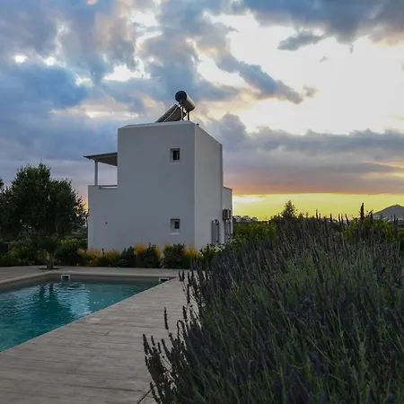 Divine Naxos Βίλα *