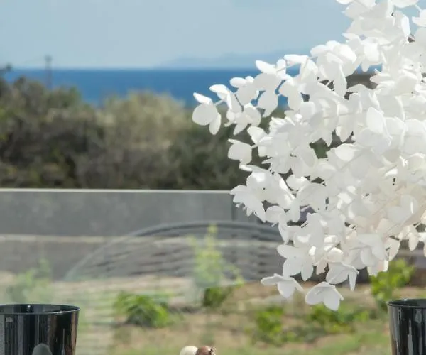 Divine Naxos Βίλα *