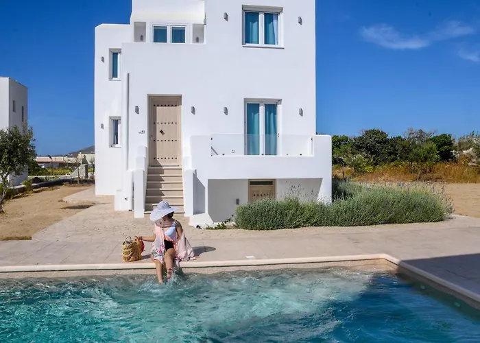 Divine Naxos Βίλα *