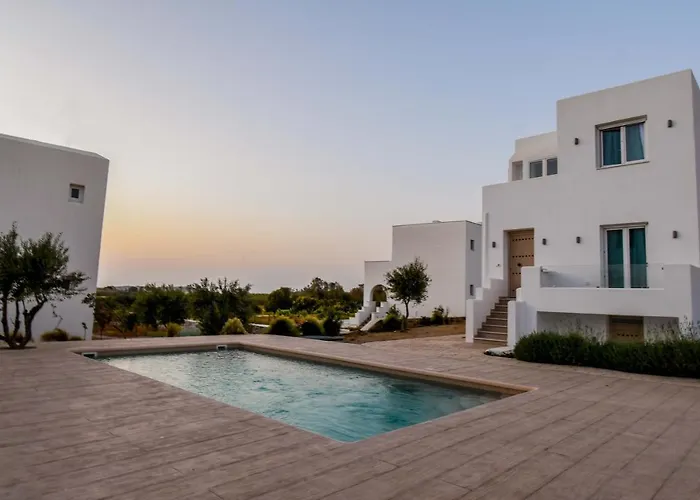 Divine Naxos Βίλα Πλάκα