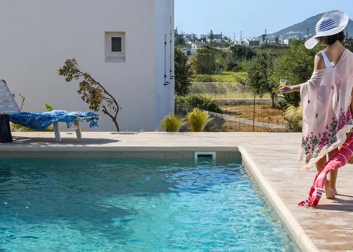 Divine Naxos Βίλα *