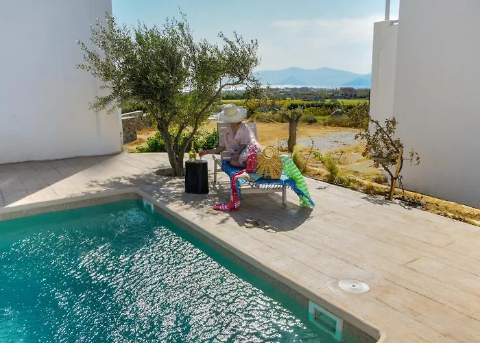 Divine Naxos Βίλα Πλάκα