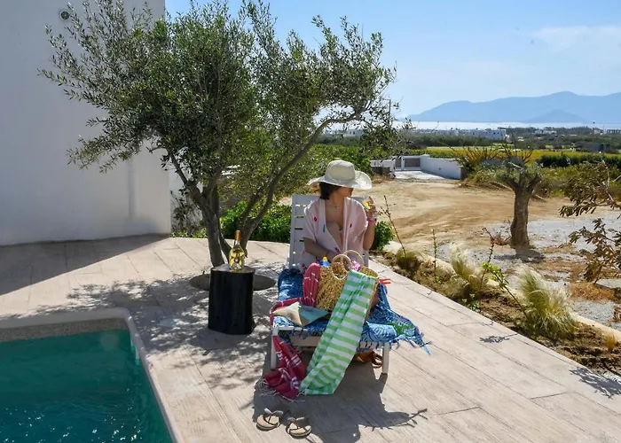 Divine Naxos Βίλα Πλάκα