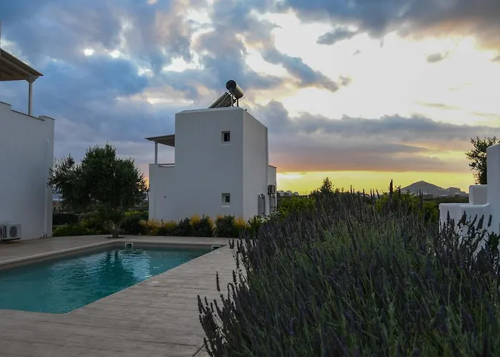 Divine Naxos Βίλα *