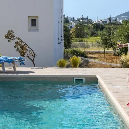 Divine Naxos Βίλα *